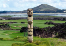 Māori entities have grown from contributing $17 billion to New Zealand's GDP