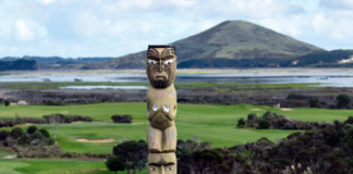 Māori entities have grown from contributing $17 billion to New Zealand's GDP