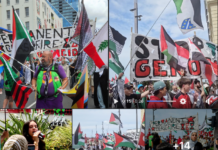 Protesters in Auckland call for a permanent end to the war on Palestinians in Gaza and the West Bank and for justice