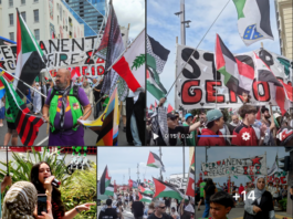 Protesters in Auckland call for a permanent end to the war on Palestinians in Gaza and the West Bank and for justice