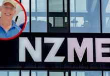 NZ's major print media and radio company NZME