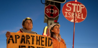 Protesting for Palestine in Australia