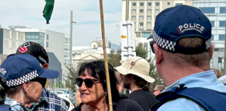 Face to face . . . a pro-Palestinian and human rights protester up close with police at the Christchurch Town Hall