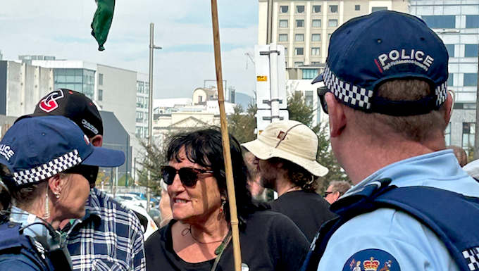 Face to face . . . a pro-Palestinian and human rights protester up close with police at the Christchurch Town Hall