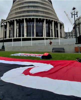 The Tino Rangatiratanga haki
