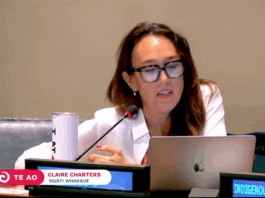 Claire Charters (Ngāti Whakaue) addressing the UN Indigenous People's Forum last week