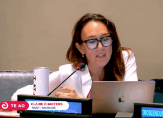 Claire Charters (Ngāti Whakaue) addressing the UN Indigenous People's Forum last week