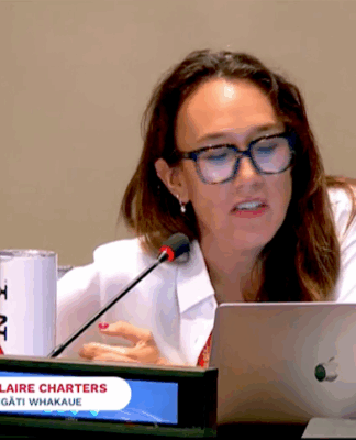Claire Charters (Ngāti Whakaue) addressing the UN Indigenous People's Forum last week