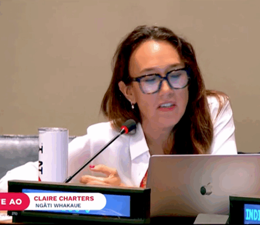 Claire Charters (Ngāti Whakaue) addressing the UN Indigenous People's Forum last week