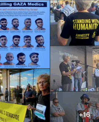 A recent solidarity protest for Gaza in Auckland's "Palestine Corner"