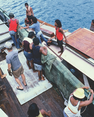 From Rongelap to Mejatto – how Rainbow Warrior helped move nuclear refugees Loading demolished house materials from Rongelap on board the Rainbow Warrior