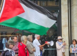 Pro-Palestinian protesters at a New Zealand solidarity rally in Auckland