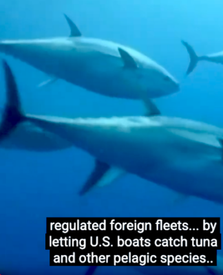 Trump executive orders roll back ocean fisheries protections in Pacific Trump's Pacific fisheries executive order