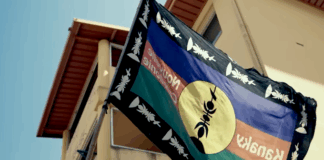 Although New Caledonia is one of New Zealand’s closest neighbours, the French colony feels very isolated from the rest of the Pacific