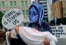 "Israel is starving us" in Gaza, says the protest placard in Auckland