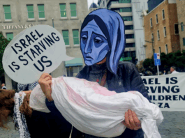 "Israel is starving us" in Gaza, says the protest placard in Auckland