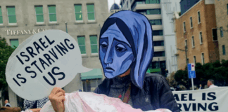 "Israel is starving us" in Gaza, says the protest placard in Auckland