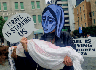 "Israel is starving us" in Gaza, says the protest placard in Auckland