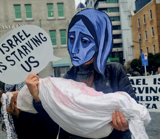 "Israel is starving us" in Gaza, says the protest placard in Auckland