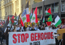A New Zealand protest over Israel's genocide in Gaza in Auckland's Te Komititanga last Saturday