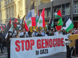 A New Zealand protest over Israel's genocide in Gaza in Auckland's Te Komititanga last Saturday