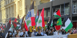 A New Zealand protest over Israel's genocide in Gaza in Auckland's Te Komititanga last Saturday