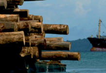 A logging ship, Turubu Bay, East Sepik