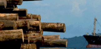 A logging ship, Turubu Bay, East Sepik