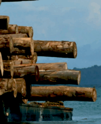 A logging ship, Turubu Bay, East Sepik