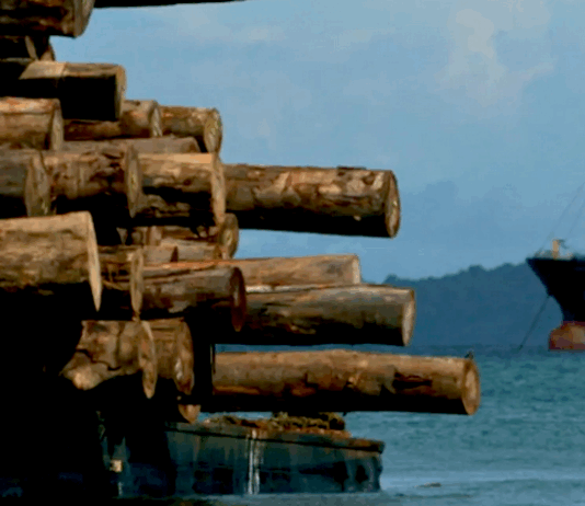 A logging ship, Turubu Bay, East Sepik