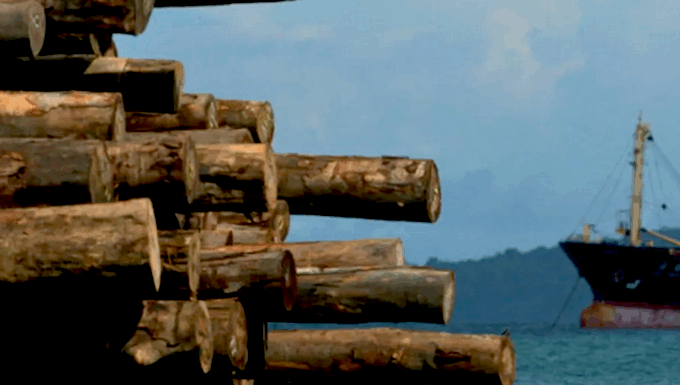 A logging ship, Turubu Bay, East Sepik