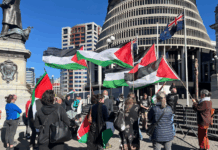 New Zealand protesters for Palestine delivering PSNA's open letter to Foreign Minister Winston Peters