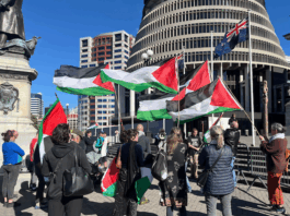 New Zealand protesters for Palestine delivering PSNA's open letter to Foreign Minister Winston Peters