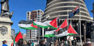 New Zealand protesters for Palestine delivering PSNA's open letter to Foreign Minister Winston Peters