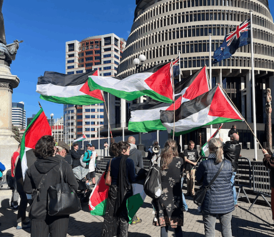 New Zealand protesters for Palestine delivering PSNA's open letter to Foreign Minister Winston Peters