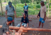 Indigenous Papuans in Merauke district protest to protect their customary lands