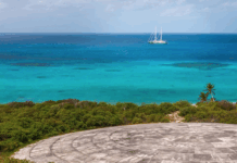 Once a tropical paradise thick with coconut palms, Runit Island is capped by a massive concrete structure