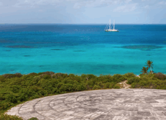 Once a tropical paradise thick with coconut palms, Runit Island is capped by a massive concrete structure
