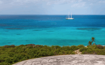 Once a tropical paradise thick with coconut palms, Runit Island is capped by a massive concrete structure