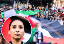 Palestine solidarity activists, university staff and students facing repression will be encouraged by Antoinette Lattouf’s (inset) victory