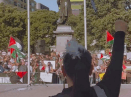 Te Pāti Māori co-leader Debbie Ngarewa-Packer at a pro-Palestinian rally outside the NZ Parliament
