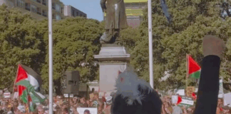 Te Pāti Māori co-leader Debbie Ngarewa-Packer at a pro-Palestinian rally outside the NZ Parliament