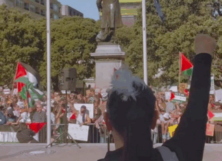 Te Pāti Māori co-leader Debbie Ngarewa-Packer at a pro-Palestinian rally outside the NZ Parliament