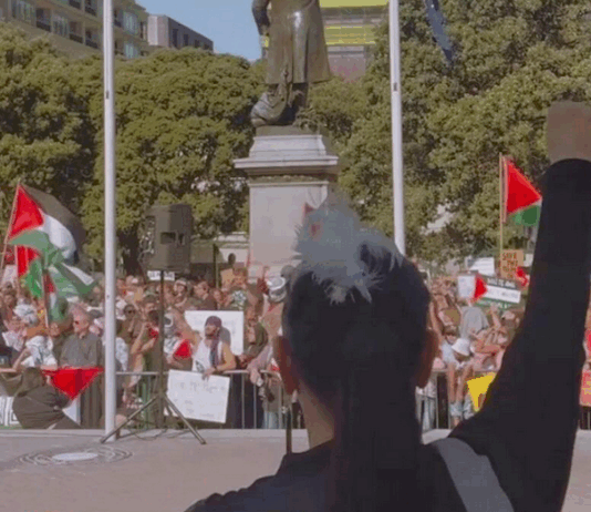 Te Pāti Māori co-leader Debbie Ngarewa-Packer at a pro-Palestinian rally outside the NZ Parliament