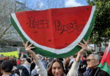 Protesters with a "Free Palestine" watermelon placard at the ceasefire rally in the West Auckland suburb of Henderson