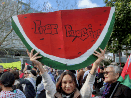 Protesters with a "Free Palestine" watermelon placard at the ceasefire rally in the West Auckland suburb of Henderson