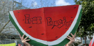 Protesters with a "Free Palestine" watermelon placard at the ceasefire rally in the West Auckland suburb of Henderson