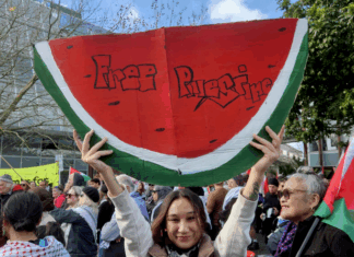 Protesters with a "Free Palestine" watermelon placard at the ceasefire rally in the West Auckland suburb of Henderson