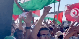 Arab members of the Global March To Gaza were the targets of the most dramatic and violent excesses committed by the Egyptian authorities