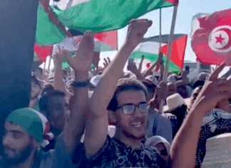 Arab members of the Global March To Gaza were the targets of the most dramatic and violent excesses committed by the Egyptian authorities